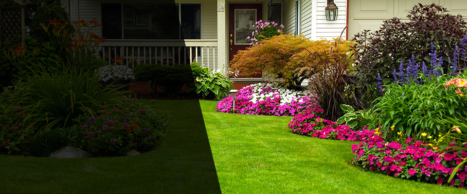 Chilton Landscapers