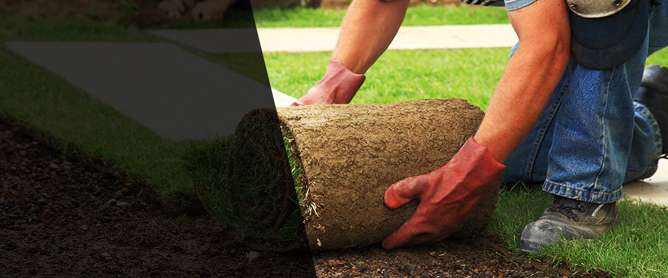 Chilton Landscapers
